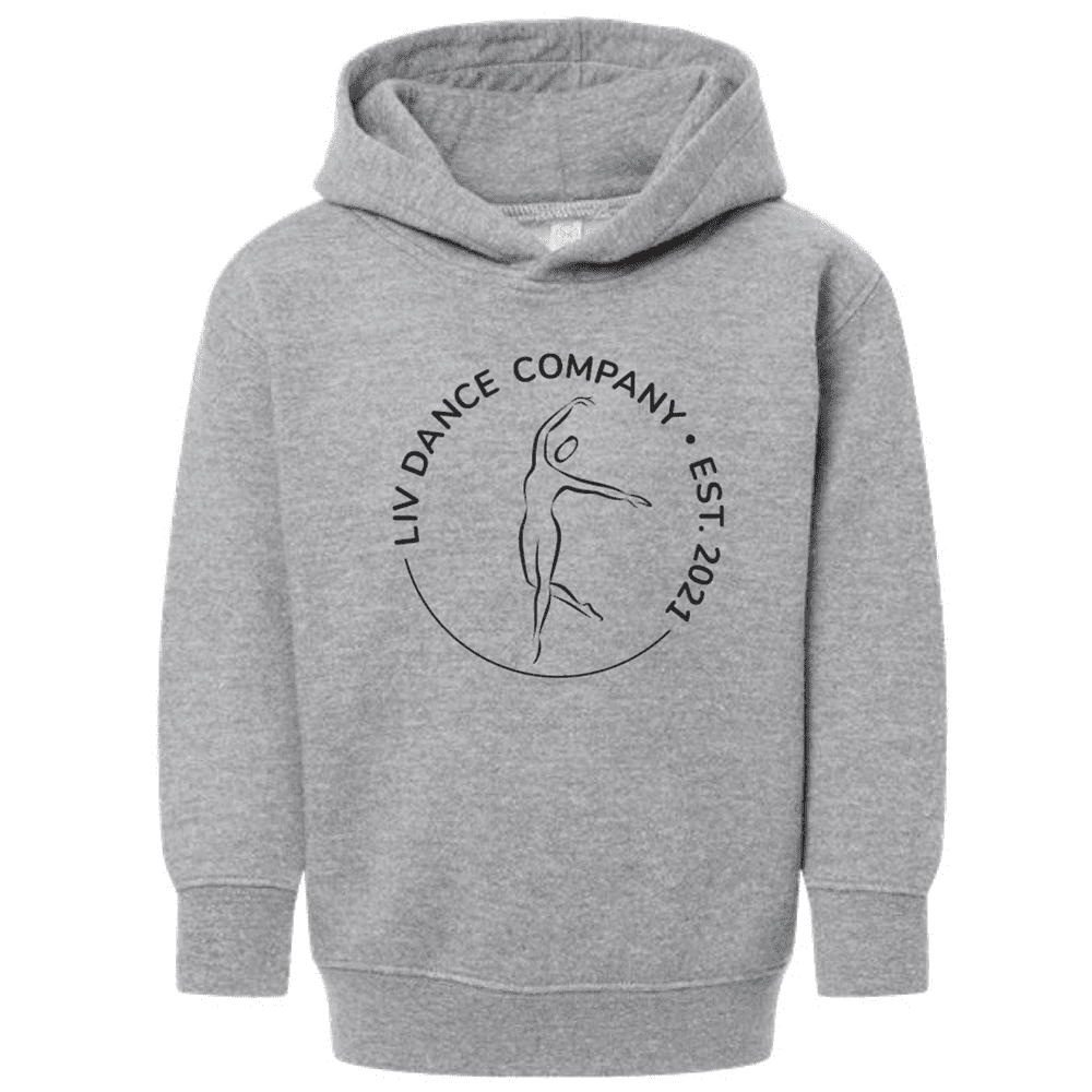 3326 Rabbit Skins Toddler Fleece Pullover Hoodie - Heather